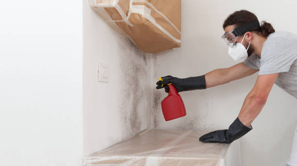 Professional Basement Mold Remediation technician working in West Chester, PA