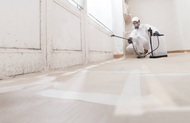 24/7 Emergency Basement Mold Remediation experts in West Chester, PA
