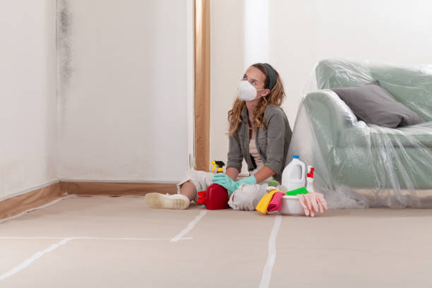 Reliable Basement Mold Remediation contractor in West Chester, PA by WQB Mold Removal