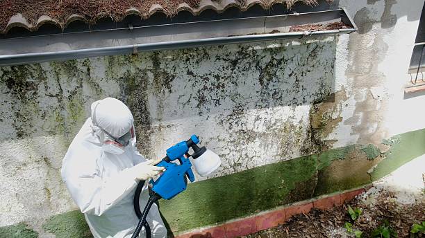 Top rated local Basement Mold Remediation specialists in West Chester, PA